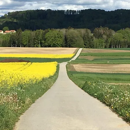 Charming House With Jacuzzi In Montilliez Cheseaux-sur-Lausanne