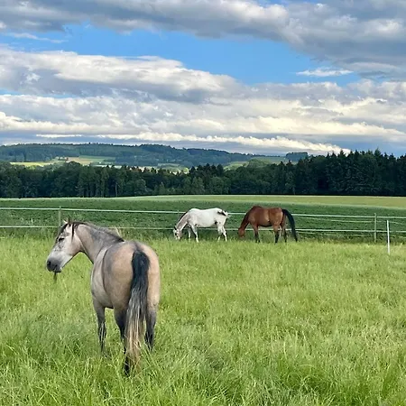 Charming House With Jacuzzi In Montilliez Cheseaux-sur-Lausanne