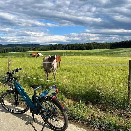 Charming House With Jacuzzi In Montilliez 度假居 Cheseaux-sur-Lausanne