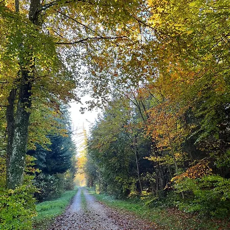 Charming House With Jacuzzi In Montilliez Cheseaux-sur-Lausanne